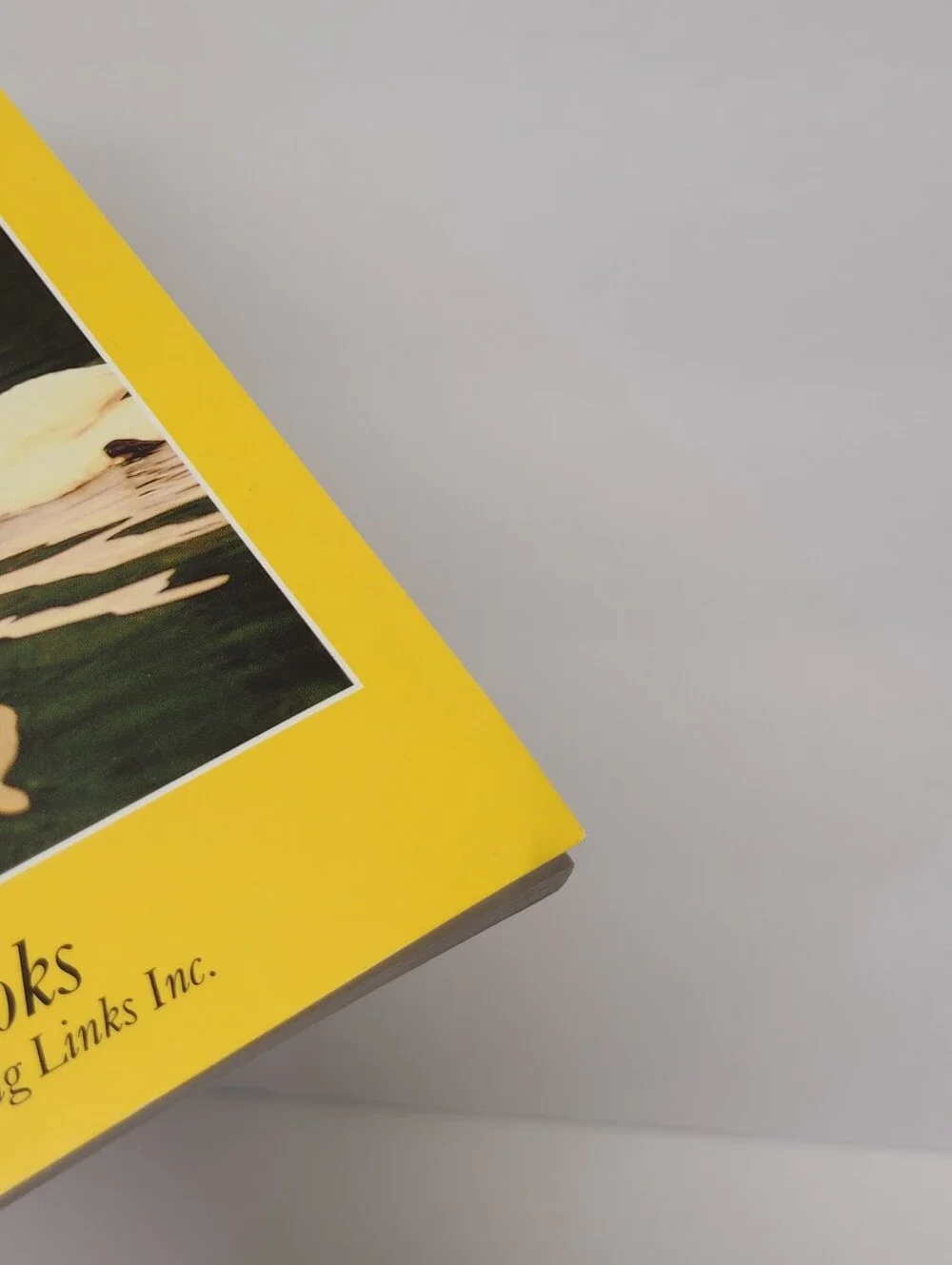 Yellow Julius Caesar Paperback - Shakespeare for Young People